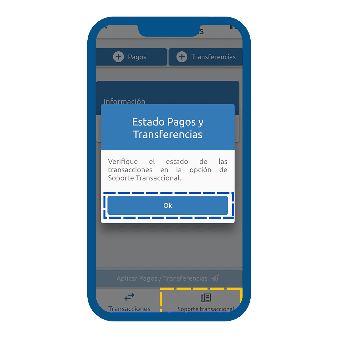 Paso 13 del instructivo para pagar aportes sociales desde la app